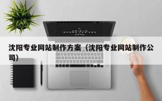四川沈阳专业网站制作方案（沈阳专业网站制作公司）